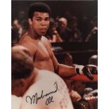 ALI MUHAMMAD: (1942-2016) American Boxer, World Heavyweight Champion.