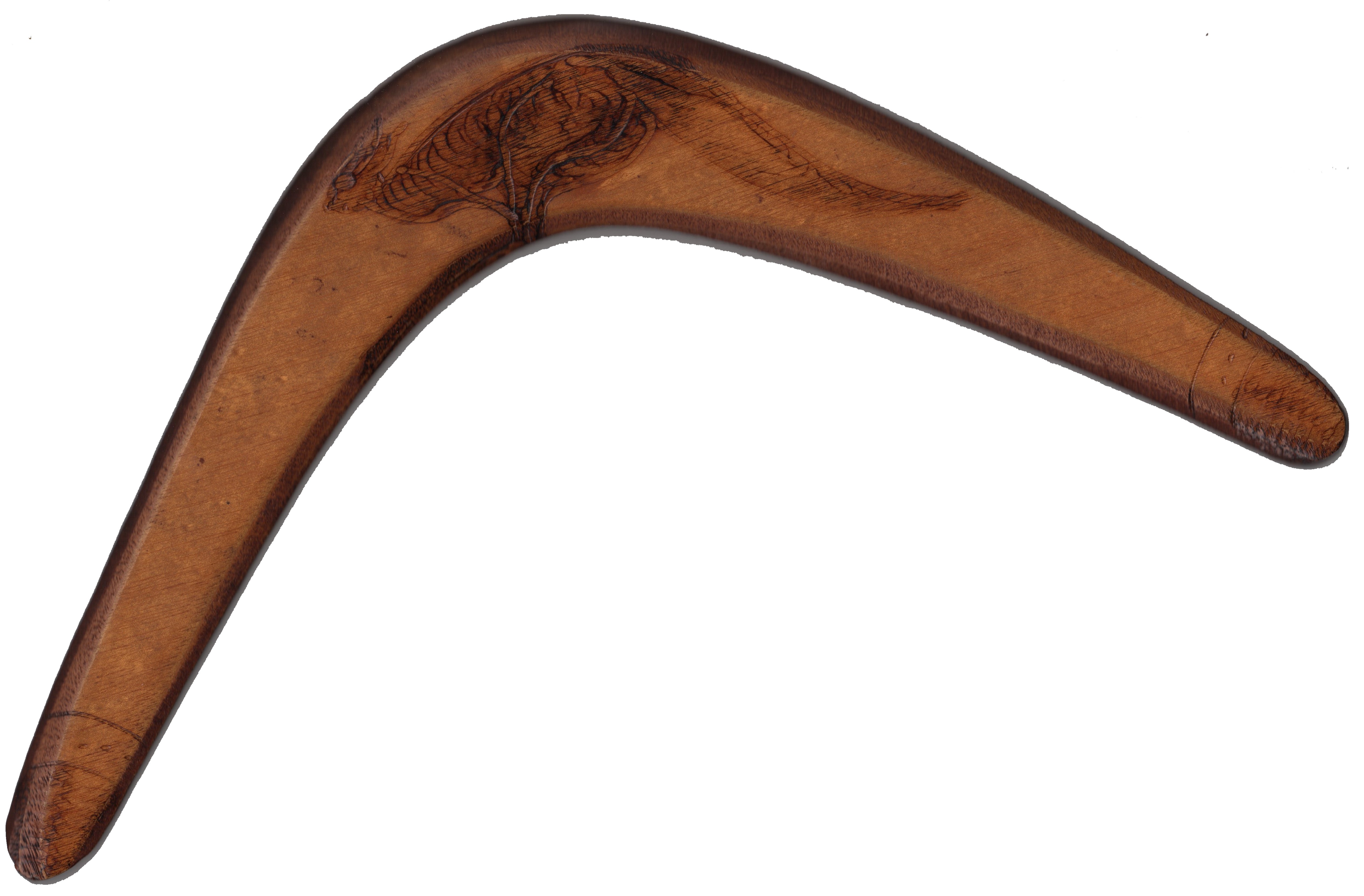 AUSTRALIAN CRICKET: A wooden boomerang featuring a kangaroo signed to the verso by twelve members - Bild 2 aus 2