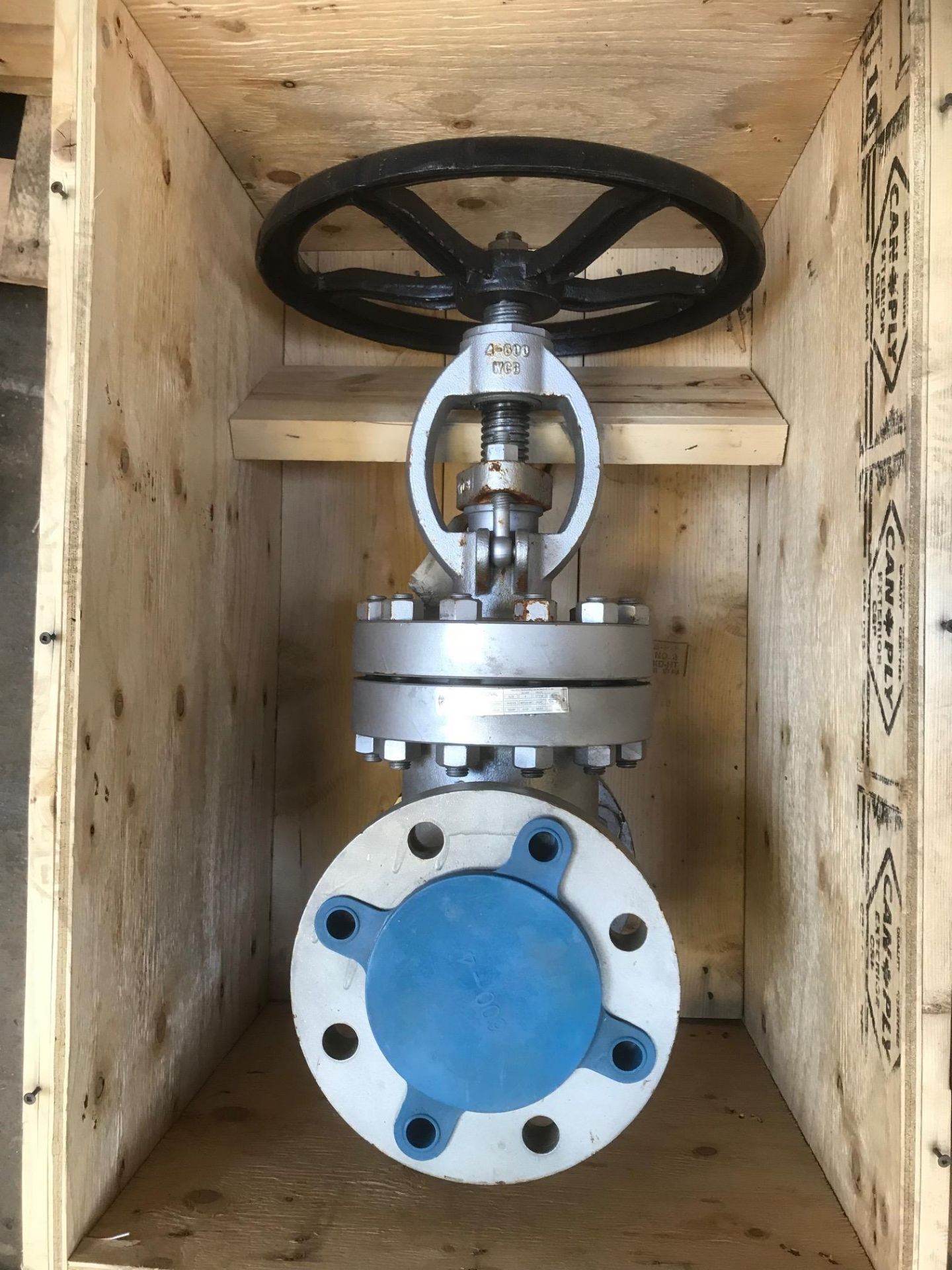 4" Steel Globe Valve