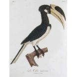 Ornithologie - - Levaillant, François. Histoire naturelle d' une partie d' oiseaux nouveaux et rares