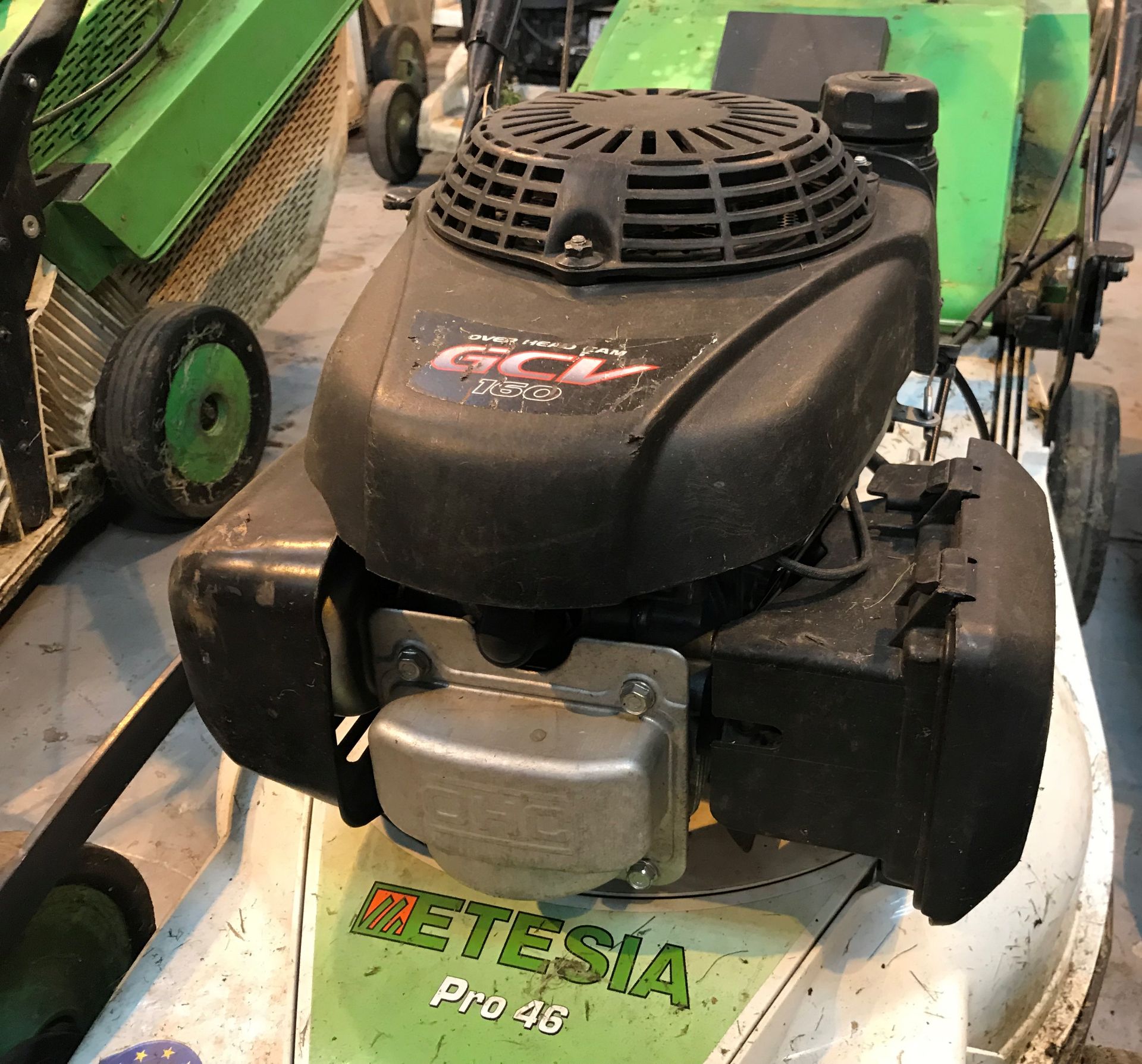 Etesia Pro 46 Petrol Lawn Mower | YOM 2016 - Bild 5 aus 6