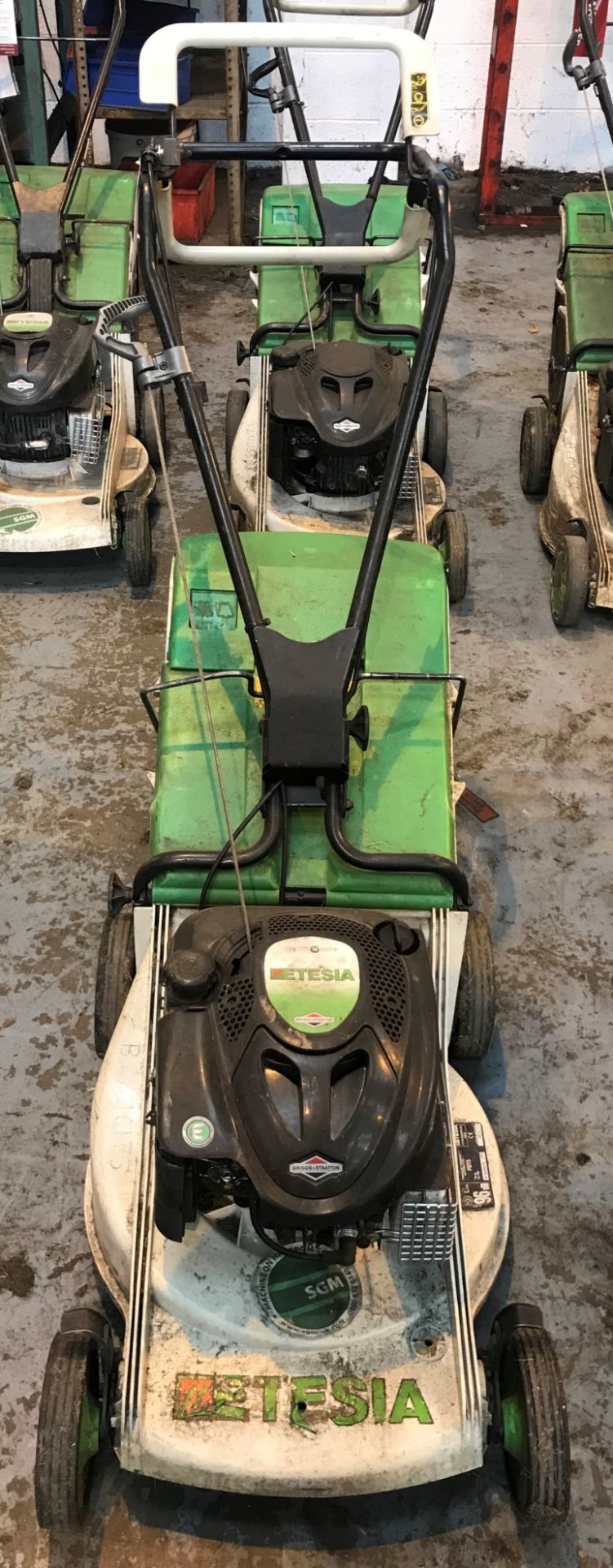 Etesia PBTS Self Propelled Commercial Lawn Mower | 2013