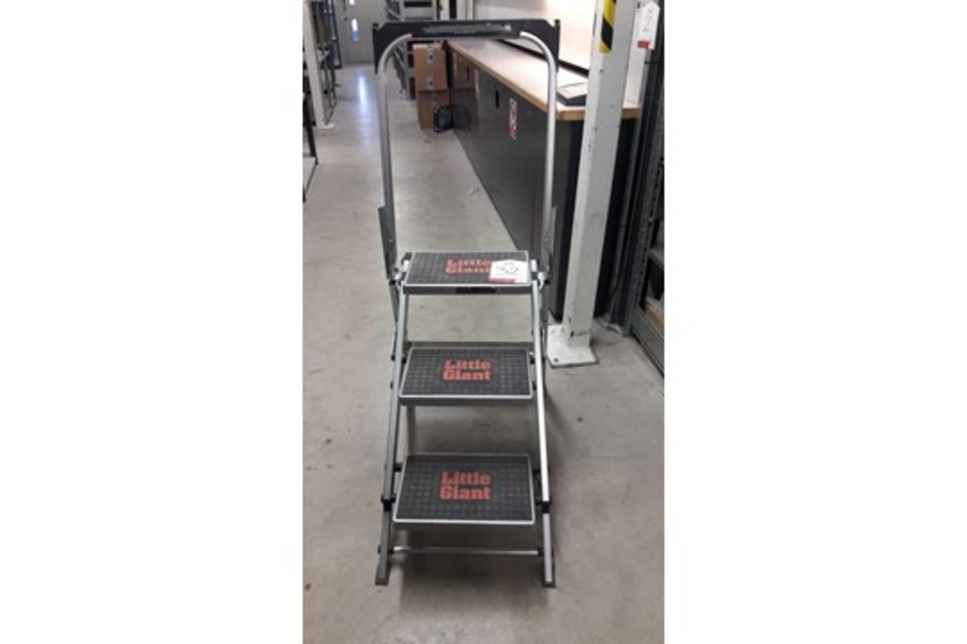 3 Tread Little Giant Safety Step