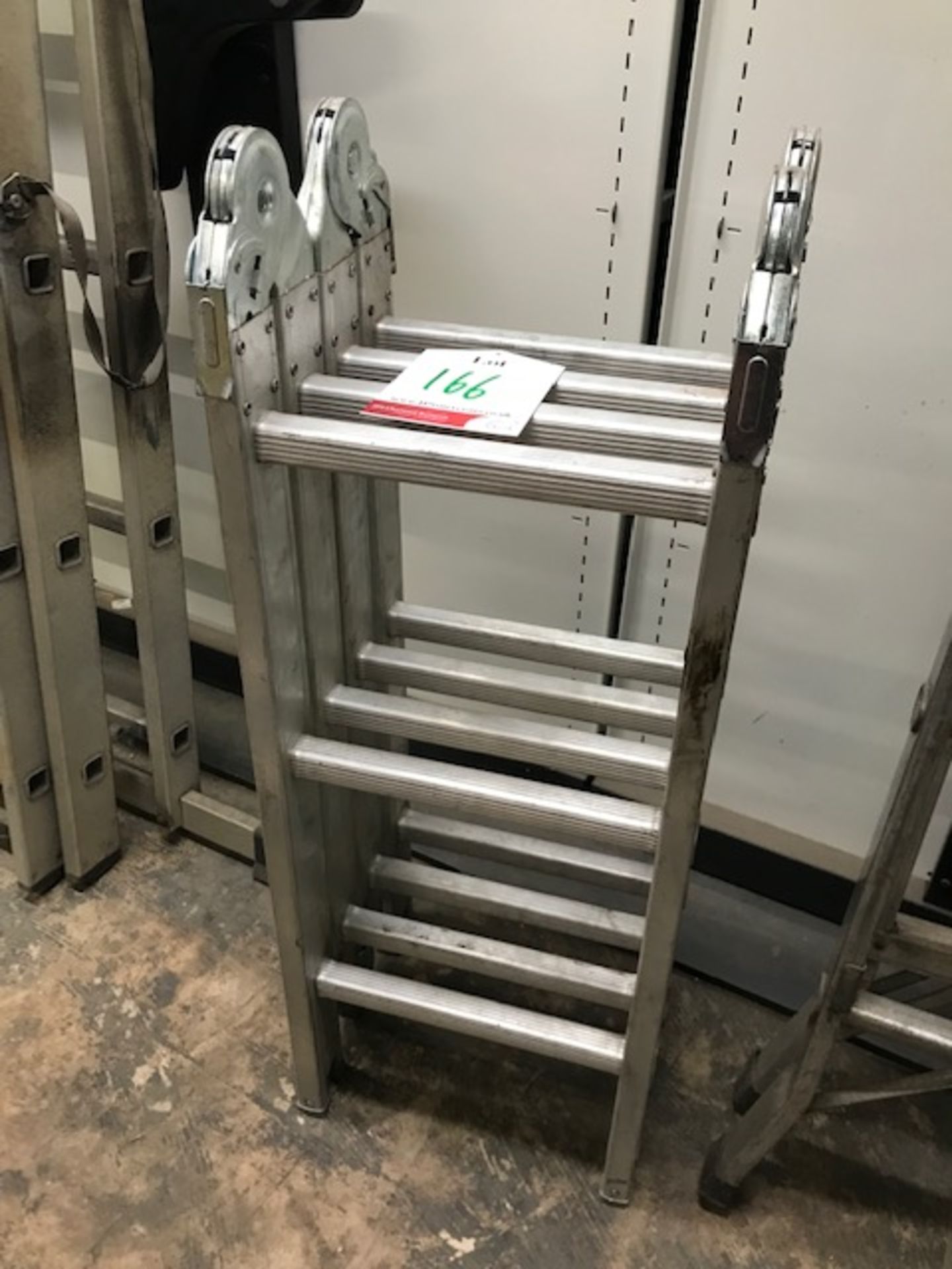 12 Step Extendable Ladder