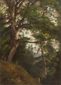 Friedrich Preller d. J. Eiche im Park von Burgk (?) Öl auf Leinwand, doubliert. (18)85. 63,5 x 45,