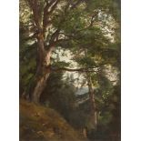 Friedrich Preller d. J. Eiche im Park von Burgk (?) Öl auf Leinwand, doubliert. (18)85. 63,5 x 45,