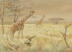 Paul Sackmann 1870 Berlin - 1933 Leipzig - Giraffen in Afrika - Aquarell/Papier. 33,8 x 47,2 cm.