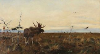Tiermaler des 19. Jahrhunderts - Elch in der Tundra - Öl/Lwd. 69 x 129,5 cm. Unsigniert. Rahmen.