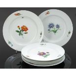 6 Speiseteller Königliche Porzellan Manufaktur, Meissen 1817-1850. - Unterschiedliche Blumen -