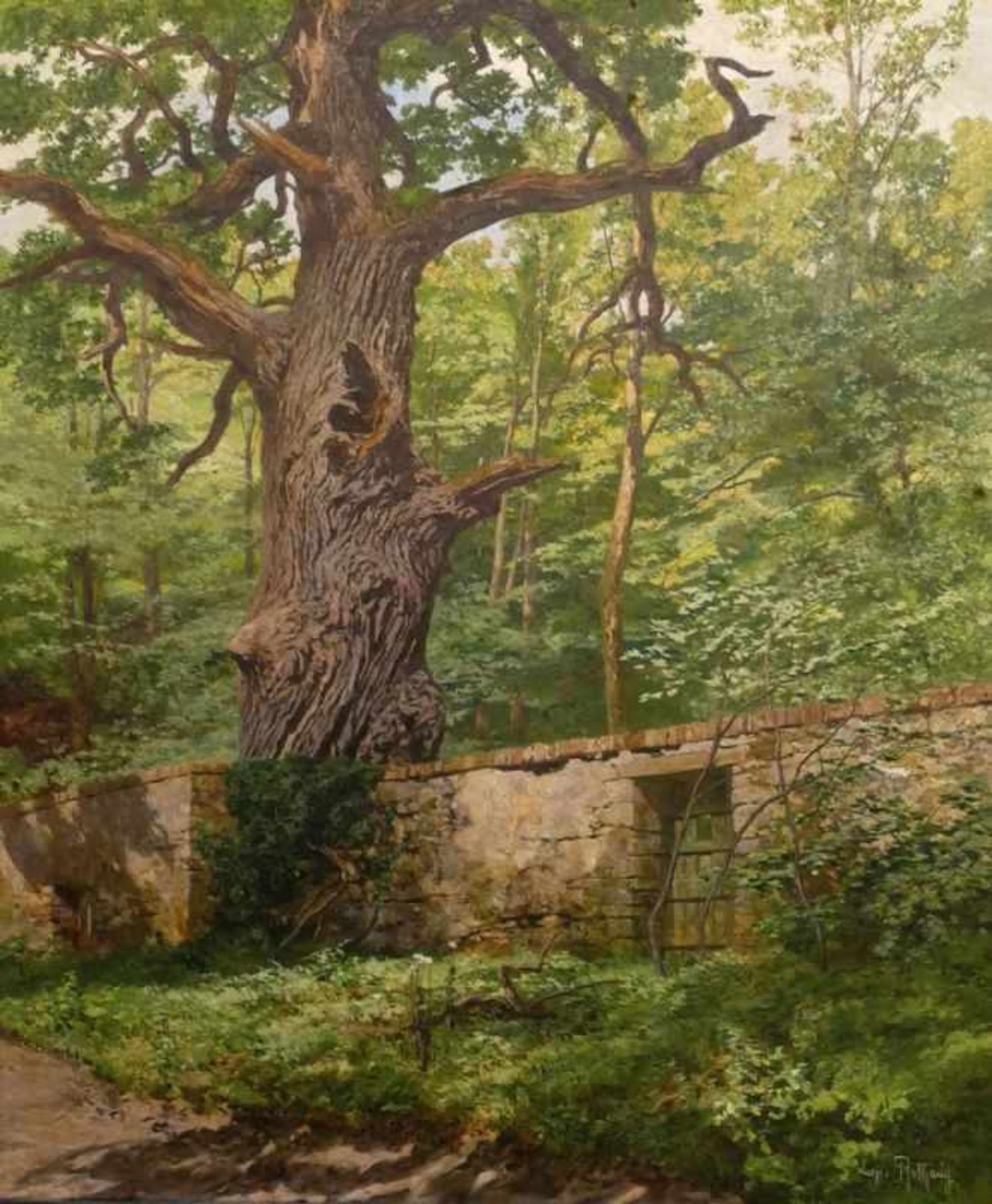 Leopold Rothaug 1868 Wien - 1959 Wien - Waldlandschaft mit Eiche - Öl/Lwd. 55 x 46 cm. Sign. r.