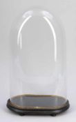 Glassturz, oval mit Sockel Glas. 52 x 30 x 17 cm.