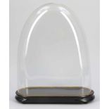 Glassturz, oval mit Sockel Glas. 50 x 40 x 15 cm.