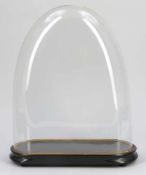Glassturz, oval mit Sockel Glas. 50 x 40 x 15 cm.