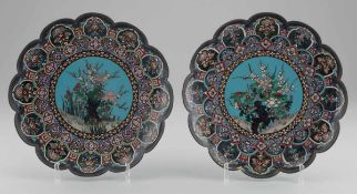 Paar Teller China, spätes 19. Jahrhundert. Cloisonné. D. 30 cm. - Zustand: Kl. Besch. Floraldekor im