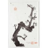 Japanischer Künstler des 20. Jahrhunderts - Kirschblüten / Sakura - Tusche. 23,5 x 36,5 cm.