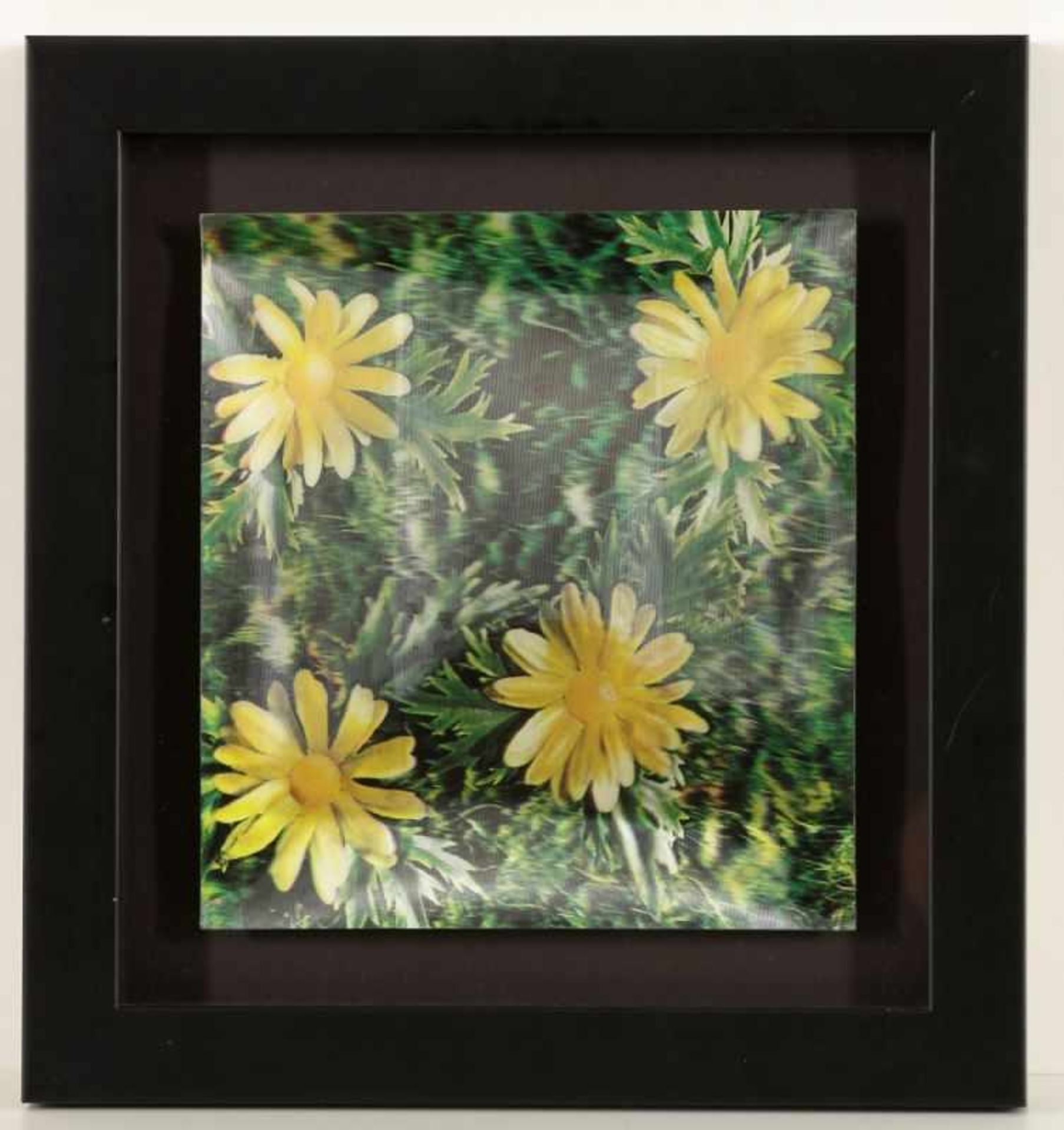 Andy Warhol1928 Pittsburgh - 1978 New York - "Daisies" - Dreidimensionale Farbfotografie (lenticular