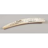Scrimshaw-WalrosszahnUSA. 19. Jahrhundert. Elfenbein. Poliert, graviert & geschwärzt. L. 40 cm.