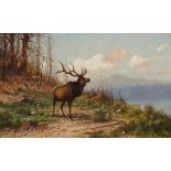 John Fery1859 Straßwalchen - 1934 Everett - Wapiti in Gebirgslandschaft / Elk in the Mountains -