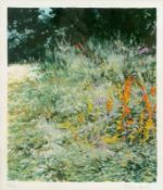 Antonio PedrettiGavirate 1950 - "Erbe" - Farbserigrafie/Papier. 4/150. 28 x 23,5 cm, 31 x 26,5 cm (