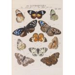 Johann Jacob Roemer Genera insectorum Linnaei et Fabricii iconibus illustrata. Winterthur, H.