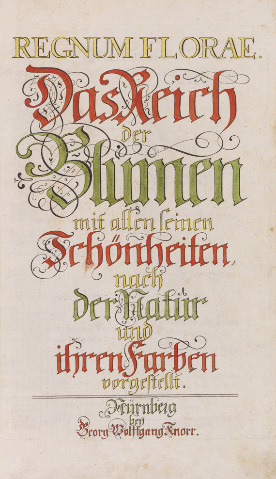 Georg Wolfgang Knorr Regnum florae. Das Reich der Blumen mit allen seinen Schönheiten nach der Natur