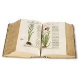 Hieronymus Bock De stirpium, maxime earum, quae in Germania nostra nascuntur .. commentariorum libri