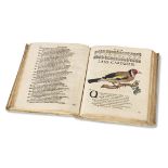 Nikolaus Baer Ornithophonia sive harmonia melicarum avium. Bremen, J. Wessel 1695. Über die