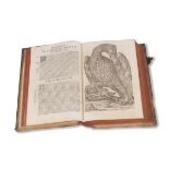 Ulisse Aldrovandi Ornithologiae hoc est de avibus historiae libri XII. [Band I von 3]. Bologna, G.