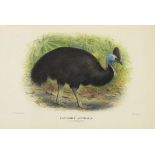 Gregory M. Mathews The birds of Australia. 12 Bände. London, Witherby 1910-27. 'The most