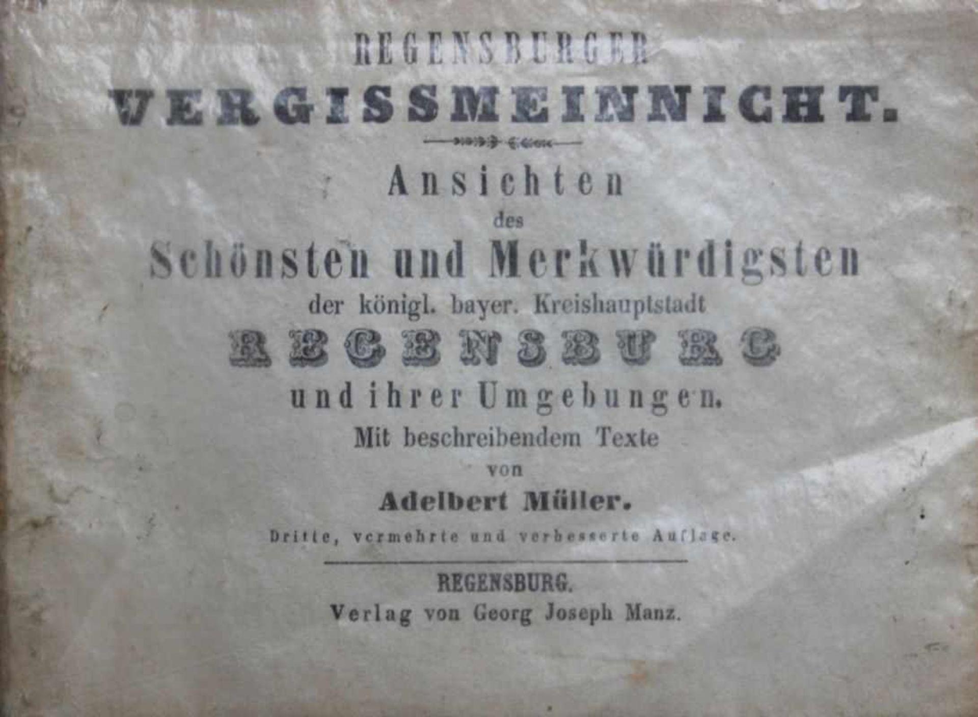 Regensburger Vergissmeinnicht - Adalbert Müller (1802-1879) "Ansichten des Schönsten und