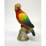 A Berlin model of a parrot