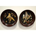 A pair of Chinese Shibayama circular plaques, depicting birds of prey and foliage