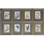 8 CASH'S SILKS BIRDS 3X4 1/2'