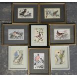 8 CASH'S SILKS BIRDS 3X4 1/2'