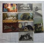 POSTCARDS - 9 EARLY 20TH CENTURY CATS