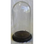 GLASS DISPLAY DOME 11'