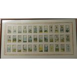 CIGARETTE CARDS SET 36 PLAYING CARDS