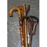 5 WALKING STICKS INCLUDING SILVER FERRULE