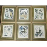 6 MARJORIE BLAMEY WILDLIFE PRINTS