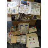 STAMPS LARGE GLORY BOX GOOD SORTER