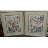 2 PAMELA GLASSOCK LARGE FRAMED FLORAL PRINTS 23'X17'