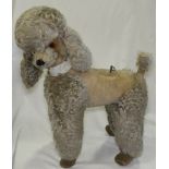 TOY POODLE GREY PLUS WITH CLOCKWORK MUSIC 21'H