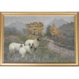 G.G.BRANSCOME 1908 OIL ON CANVAS 3 SHEEP IN MOORLAND SCENE 18'X12'