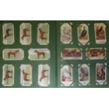 CIGARETTE CARDS ALBUM OF VARIOUS OVER 500