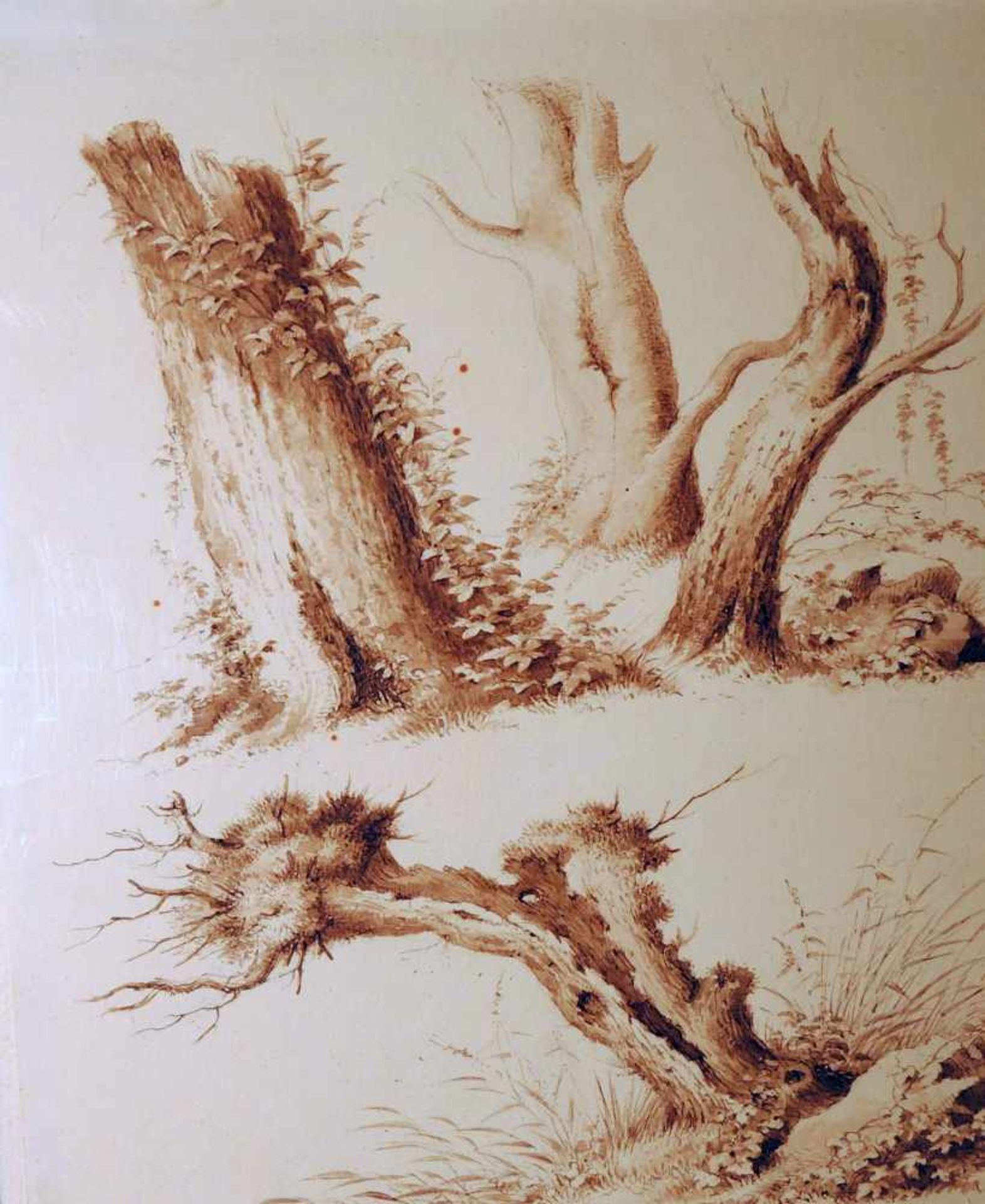 Ludwig Harzer, ca. 1810 - 1877 DresdenFast minutiös zeichnete der Landschaftsmaler, Aquarellmaler