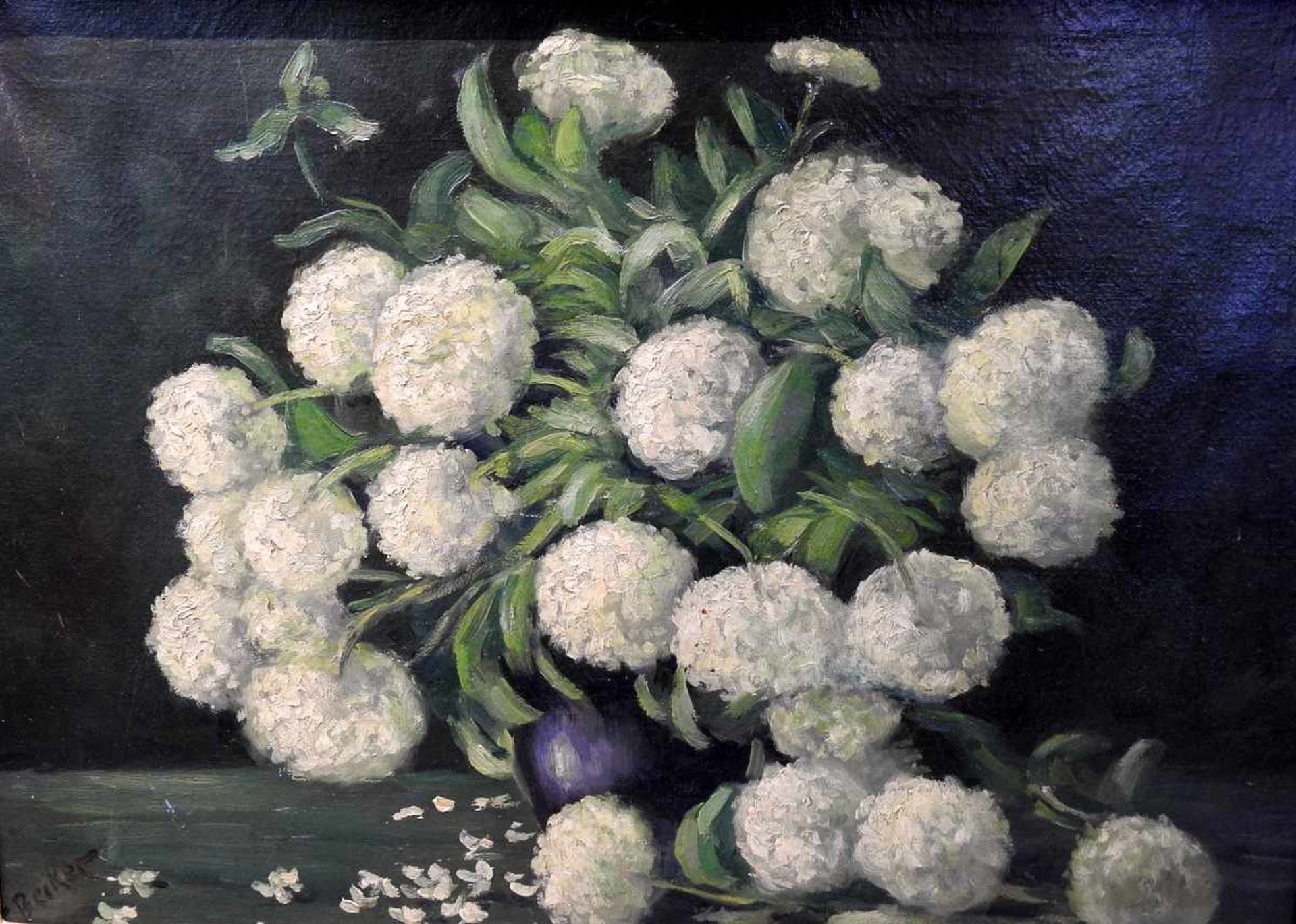 Walter Becker, 1893 Essen - 1984 TutzingÖl/Leinwand. Blumenstillleben mit weißen Hortensien in
