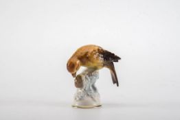 Kreuzschnabel, Ernst Bohne Rudolstadt Auf einem Sockel mit einem Tannenzapfen sitzt der Vogel aus