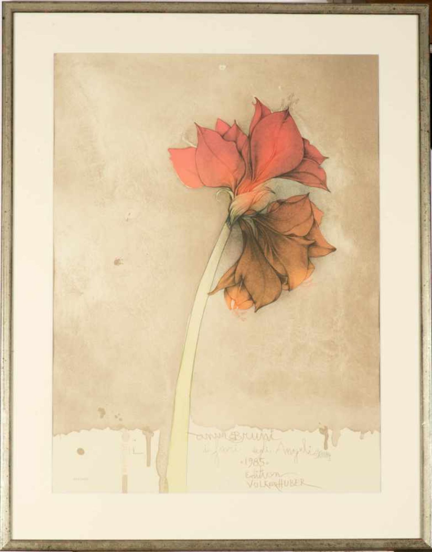 Bruni, Bruno (1935 Gradara)."Amaryllis". Farblithografie. 1985, Edition Volker Huber. Aufl. 834/