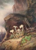 Friedrich Moos 1822 - 1895 Edelweiss im Hochgebirge Öl auf Malpappe; H 50 cm, B 40 cm; signiert u.