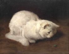 Arthur Heyer 1872 - 1931 Perserkatze, einen Käfer beobachtend Öl auf Malpappe; H 34 cm, B 42 cm;